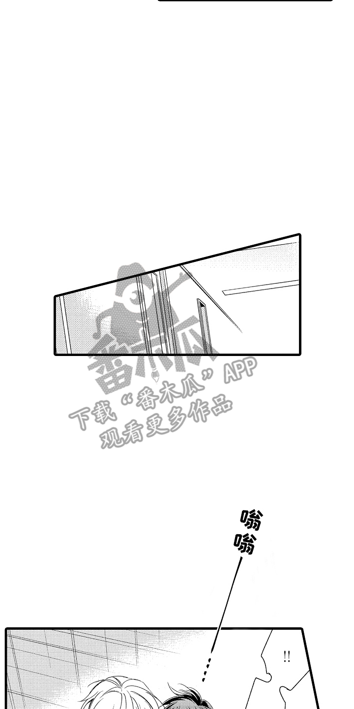 12.jpg