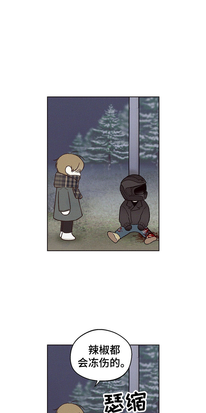 26.jpg