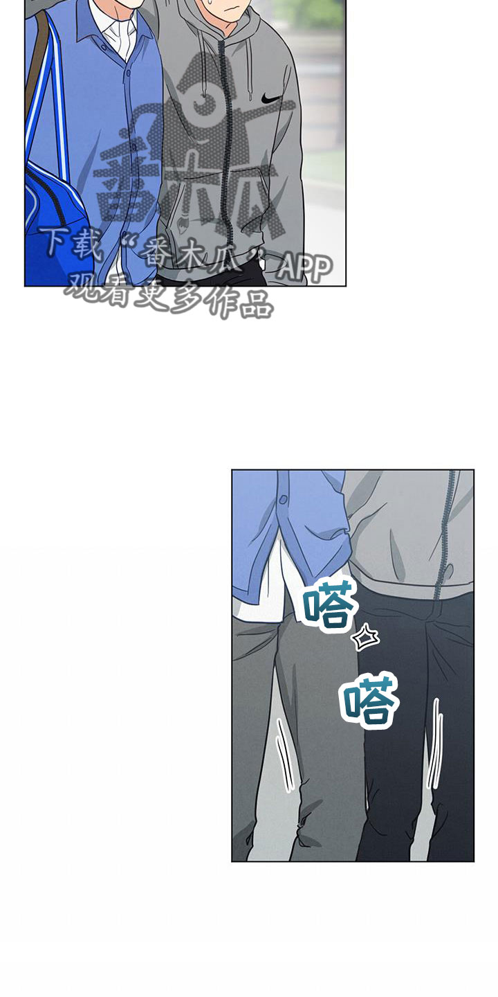 19.jpg