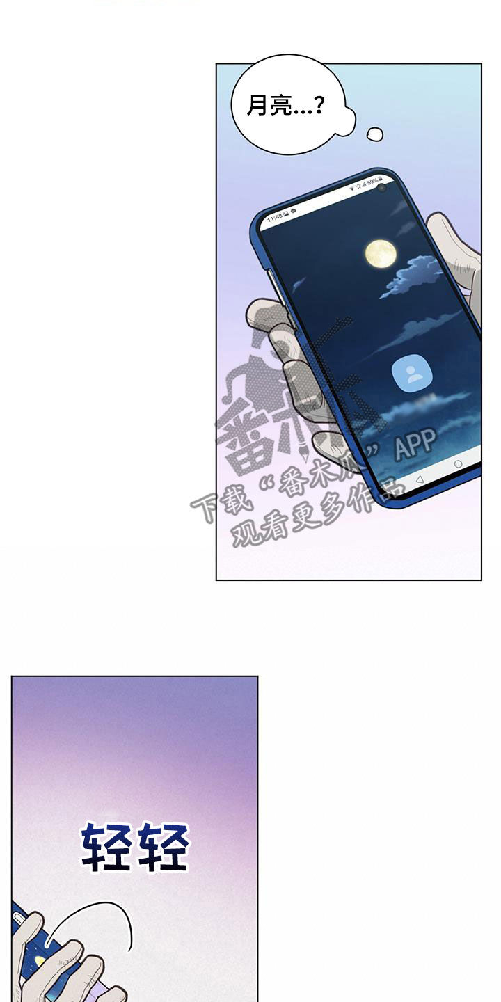 16.jpg