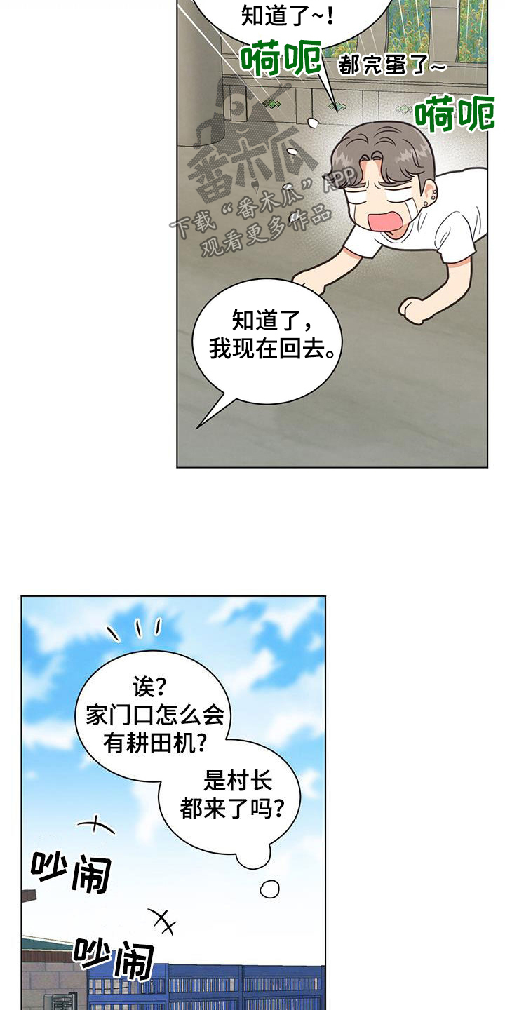 14.jpg