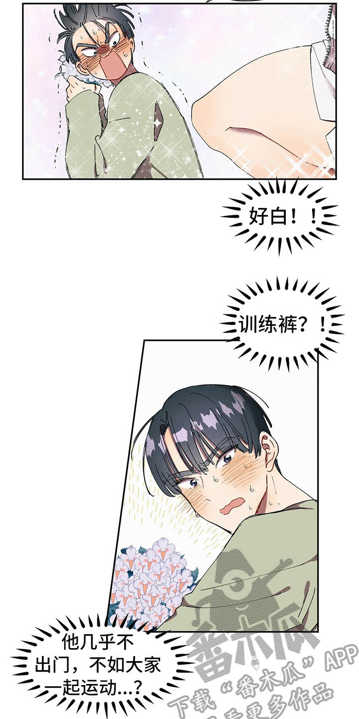 17.jpg