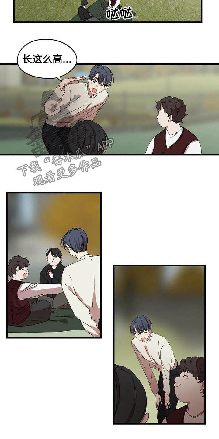 4.jpg