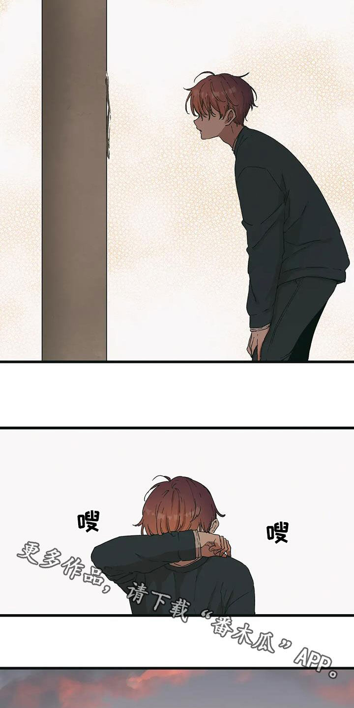 13.jpg