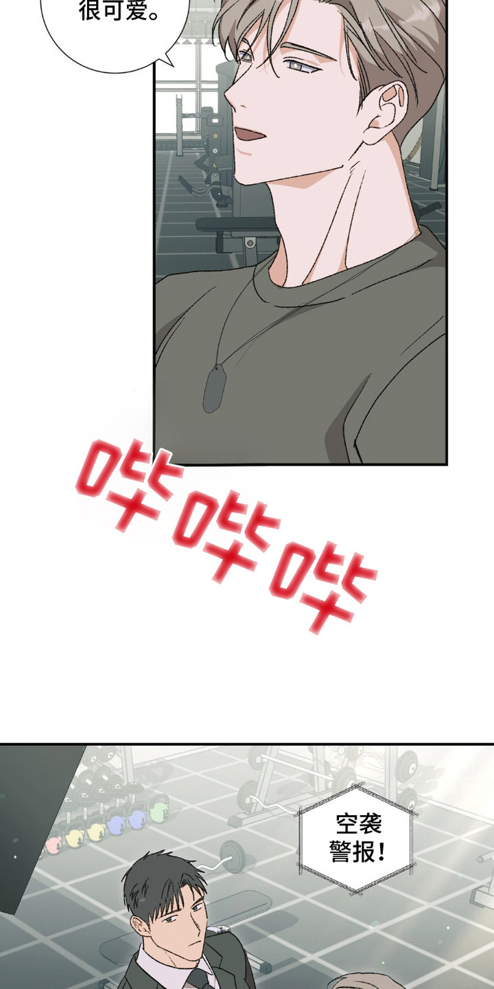 9.jpg