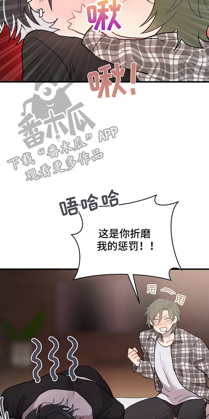 12.jpg