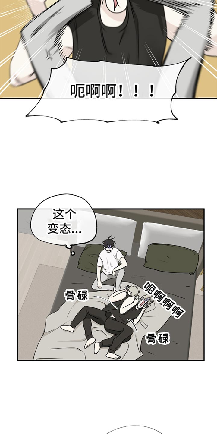 23.jpg
