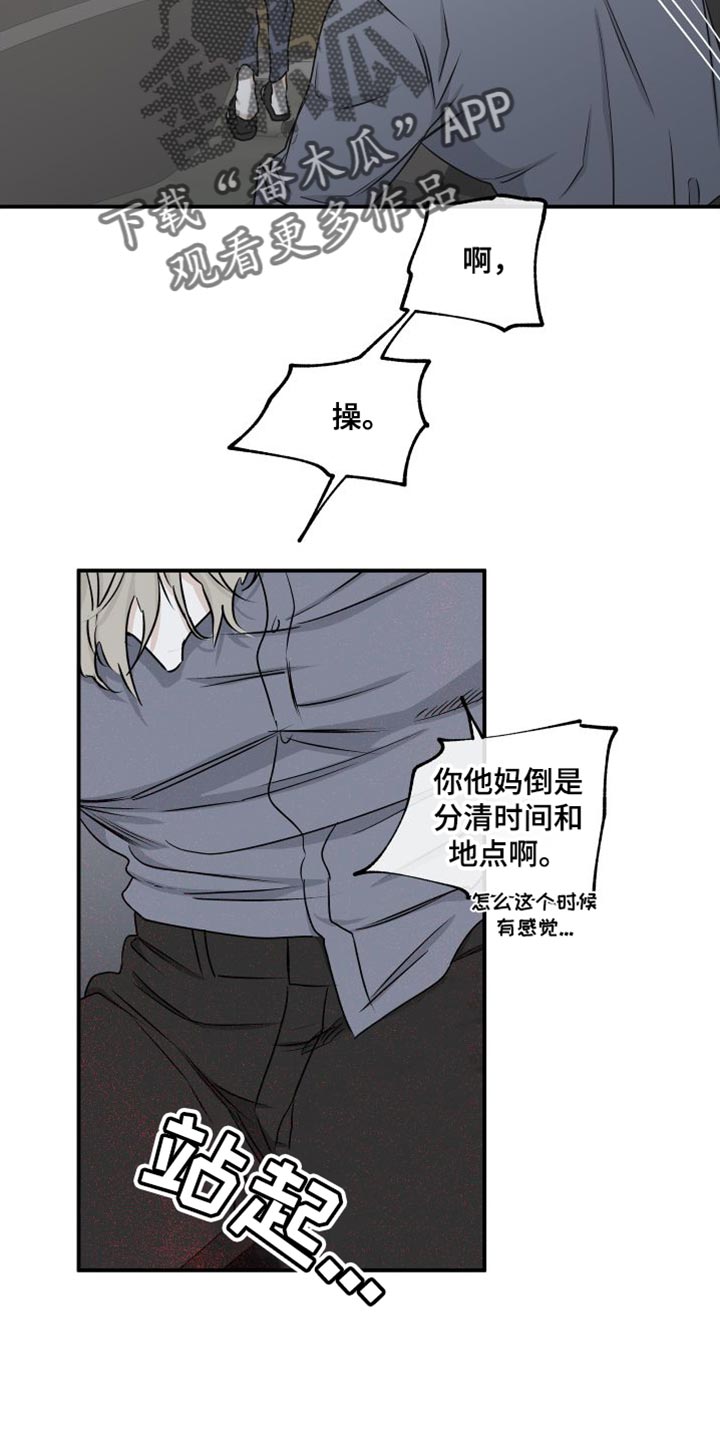 15.jpg