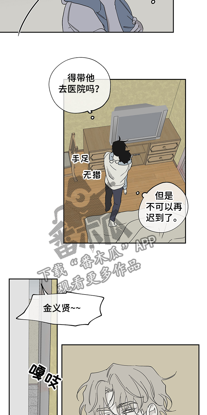 13.jpg