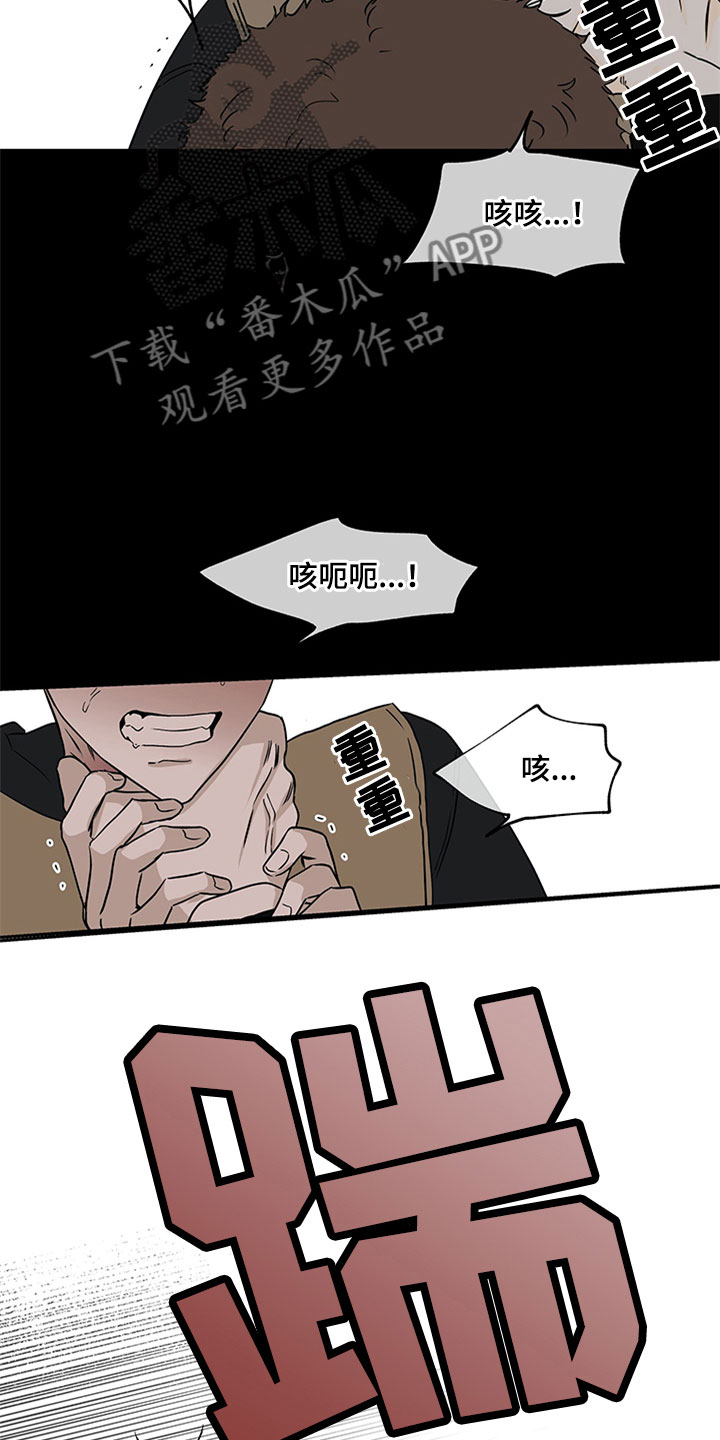 21.jpg