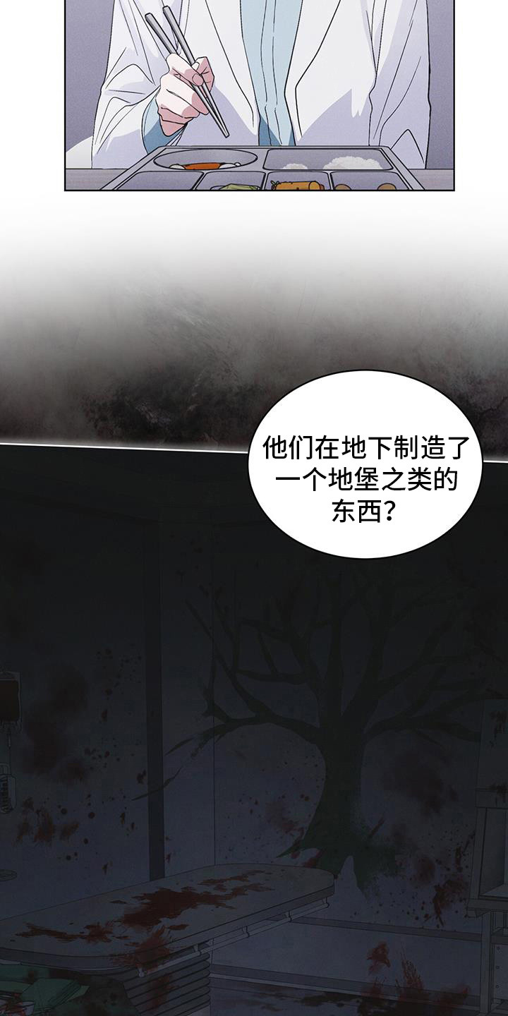 27.jpg