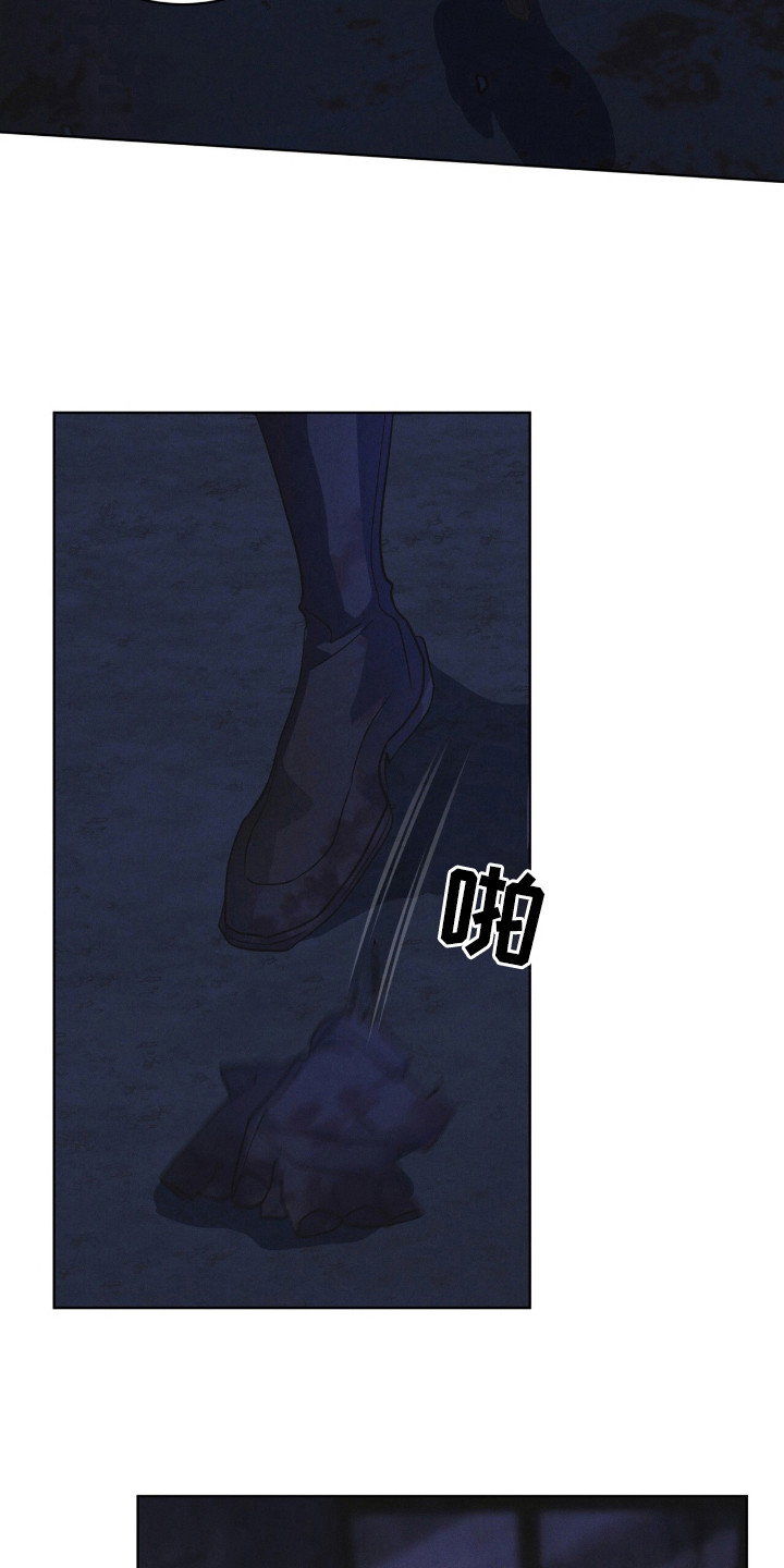 27.jpg