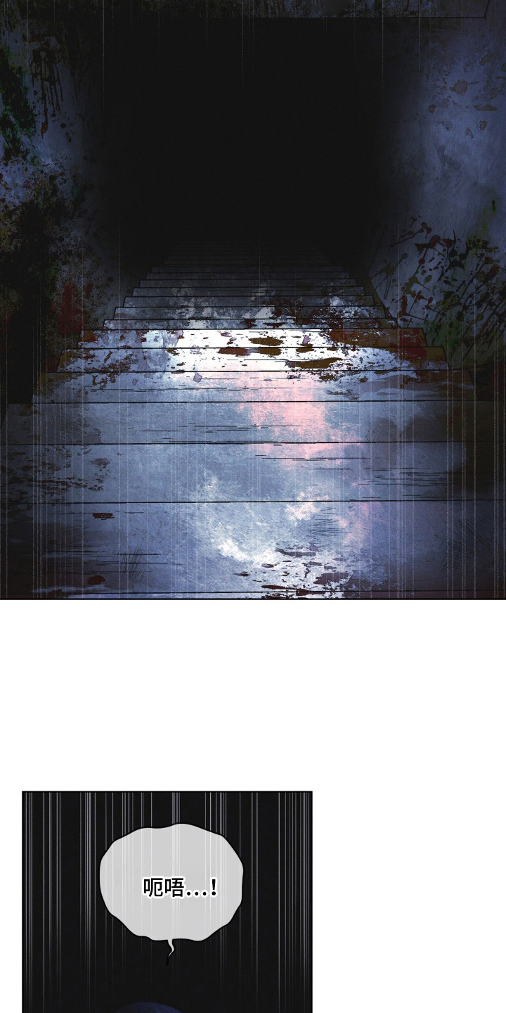 25.jpg