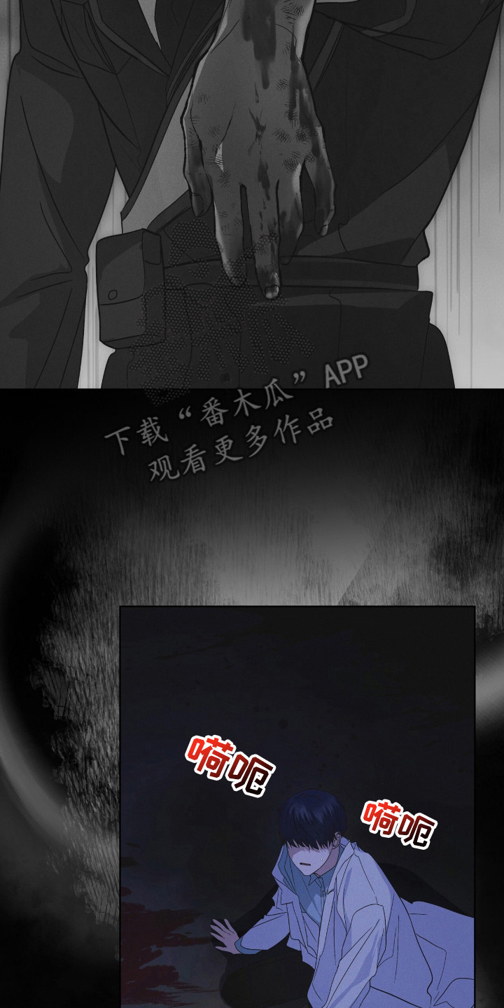 26.jpg