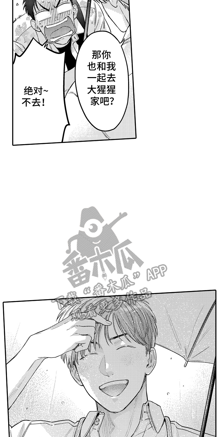 12.jpg