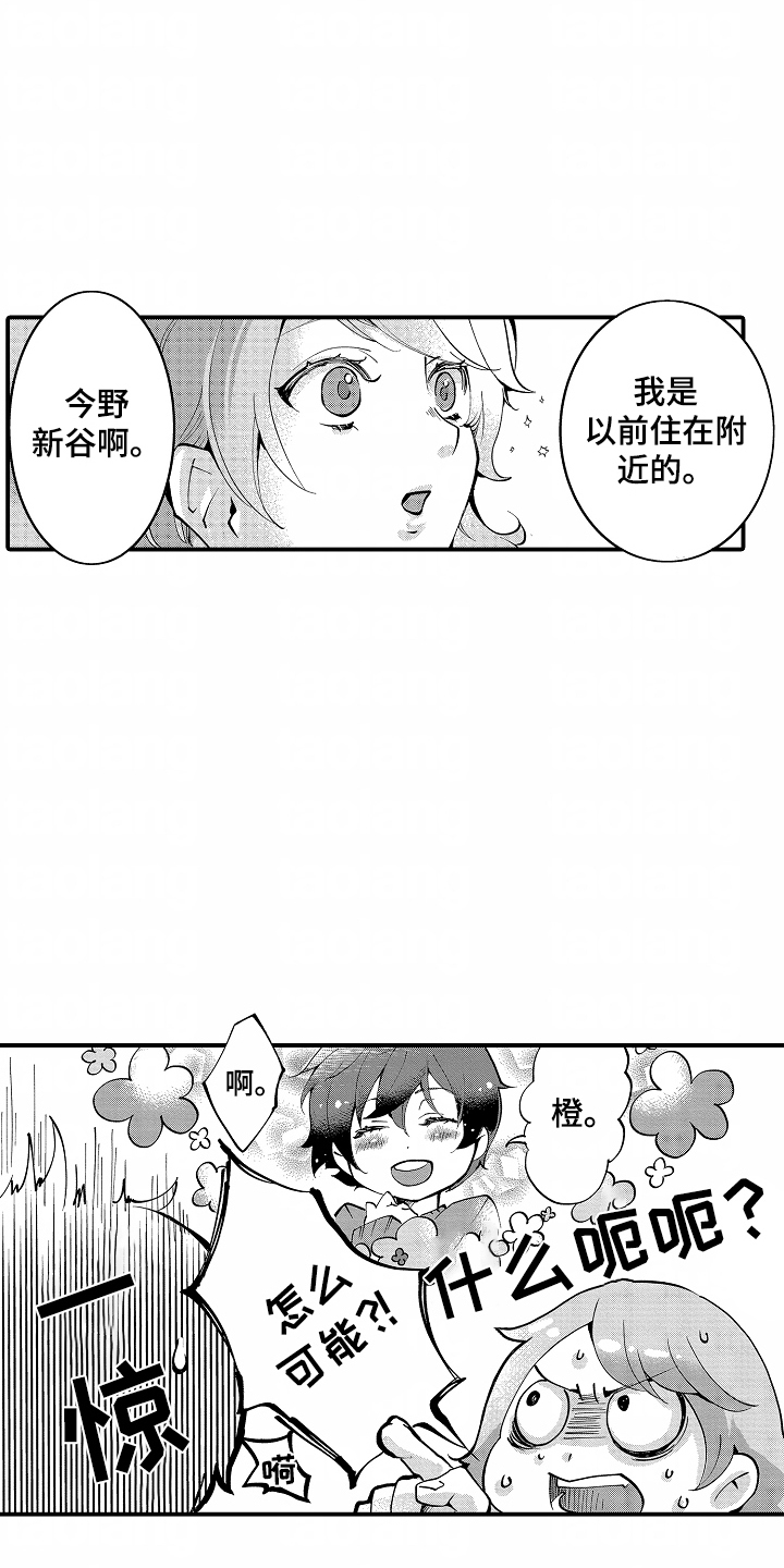 15.jpg