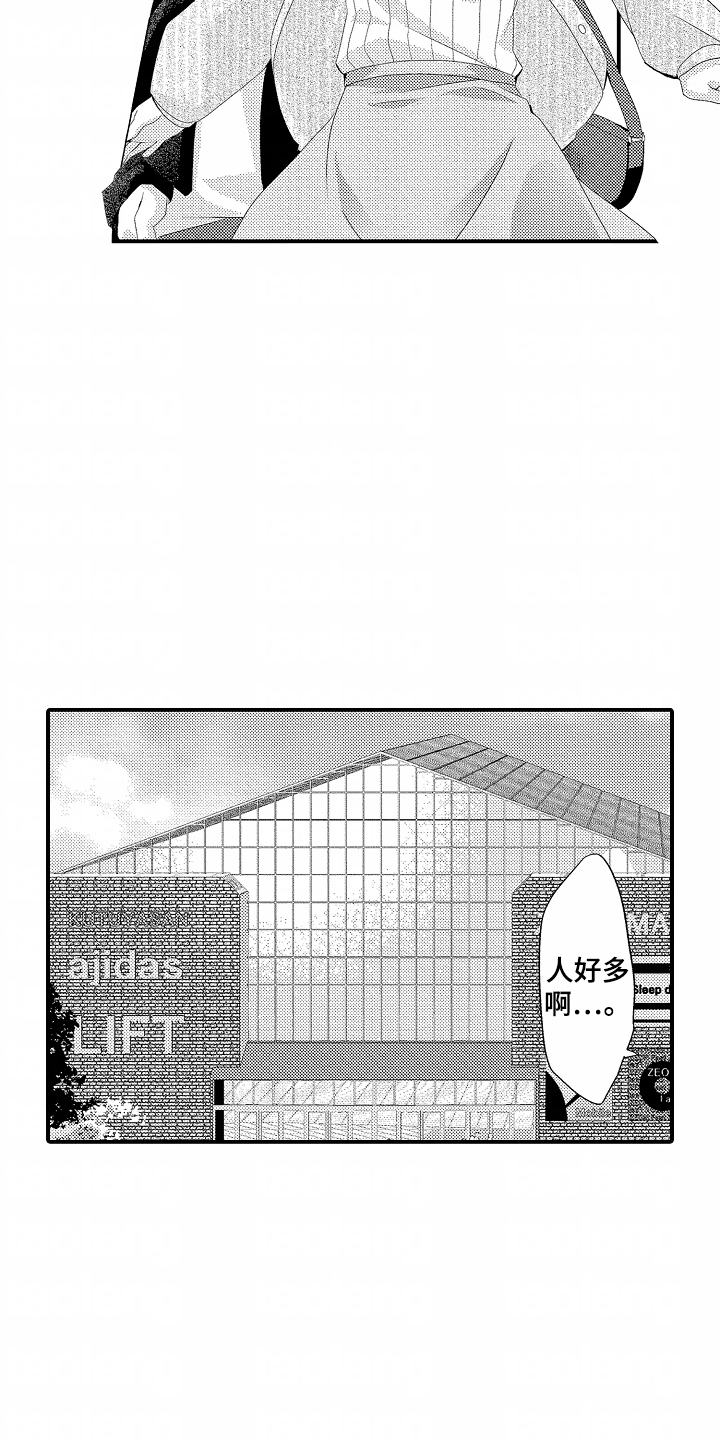 17.jpg