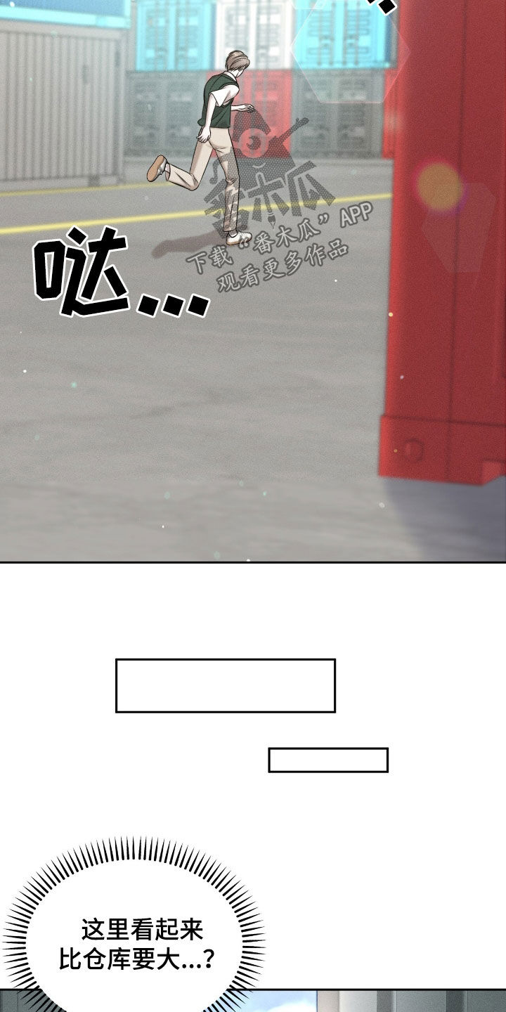 17.jpg