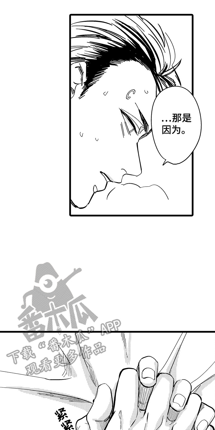 11.jpg
