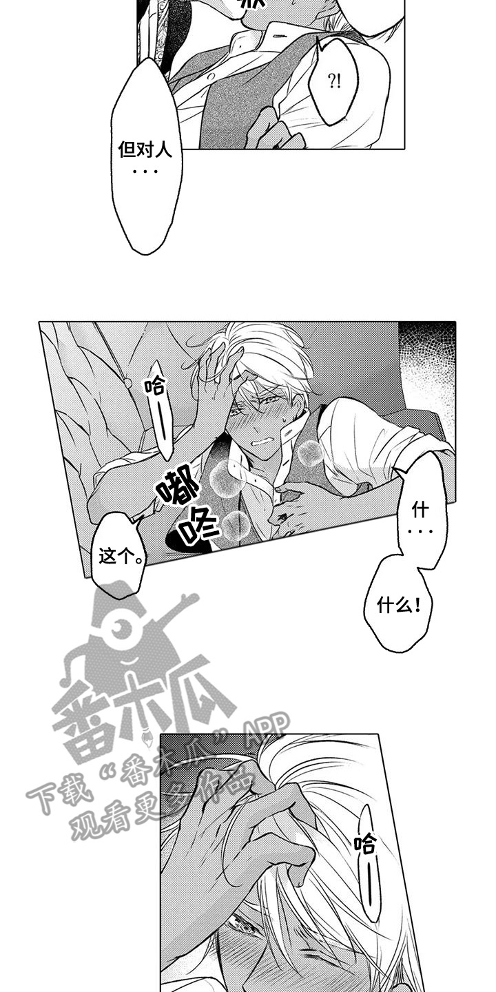 12.jpg