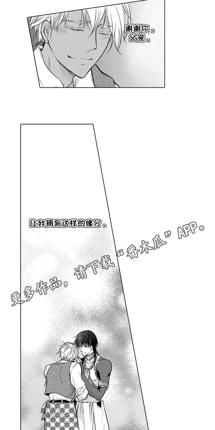 5.jpg