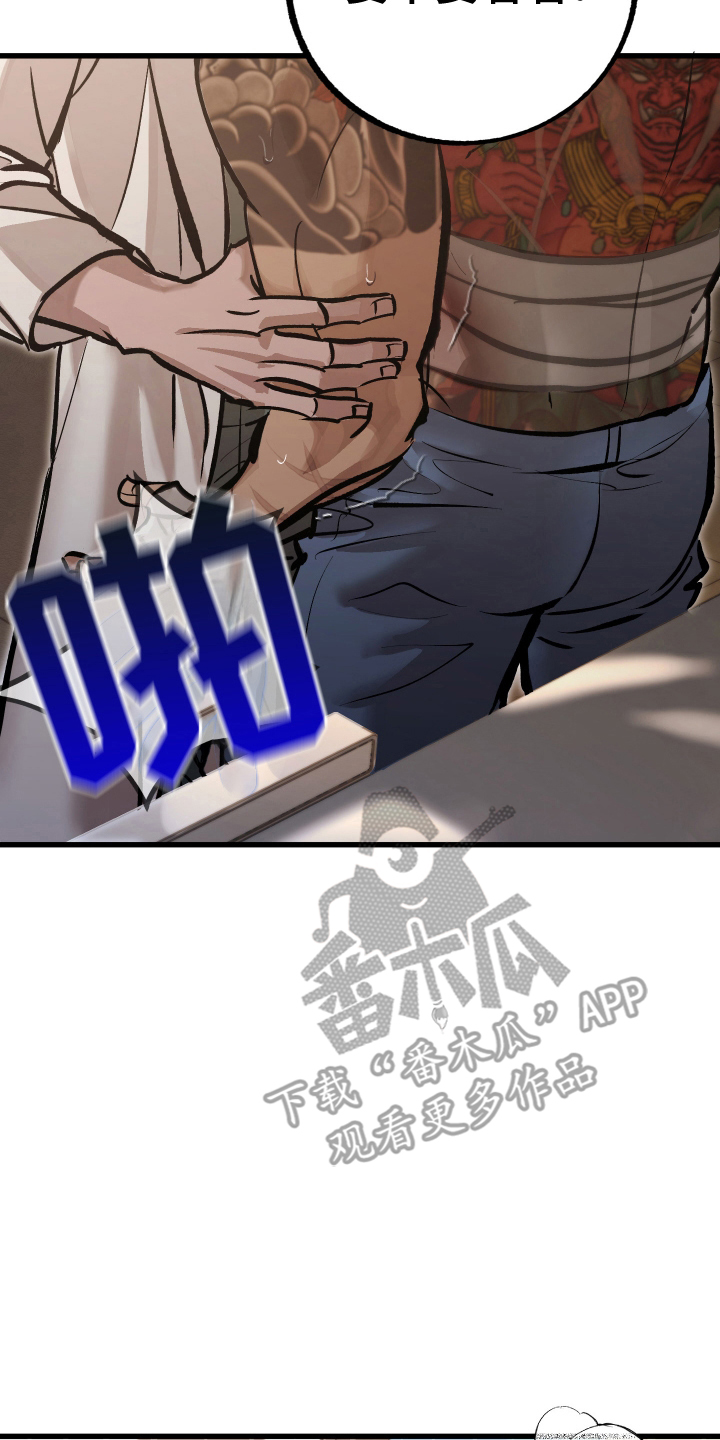 11.jpg