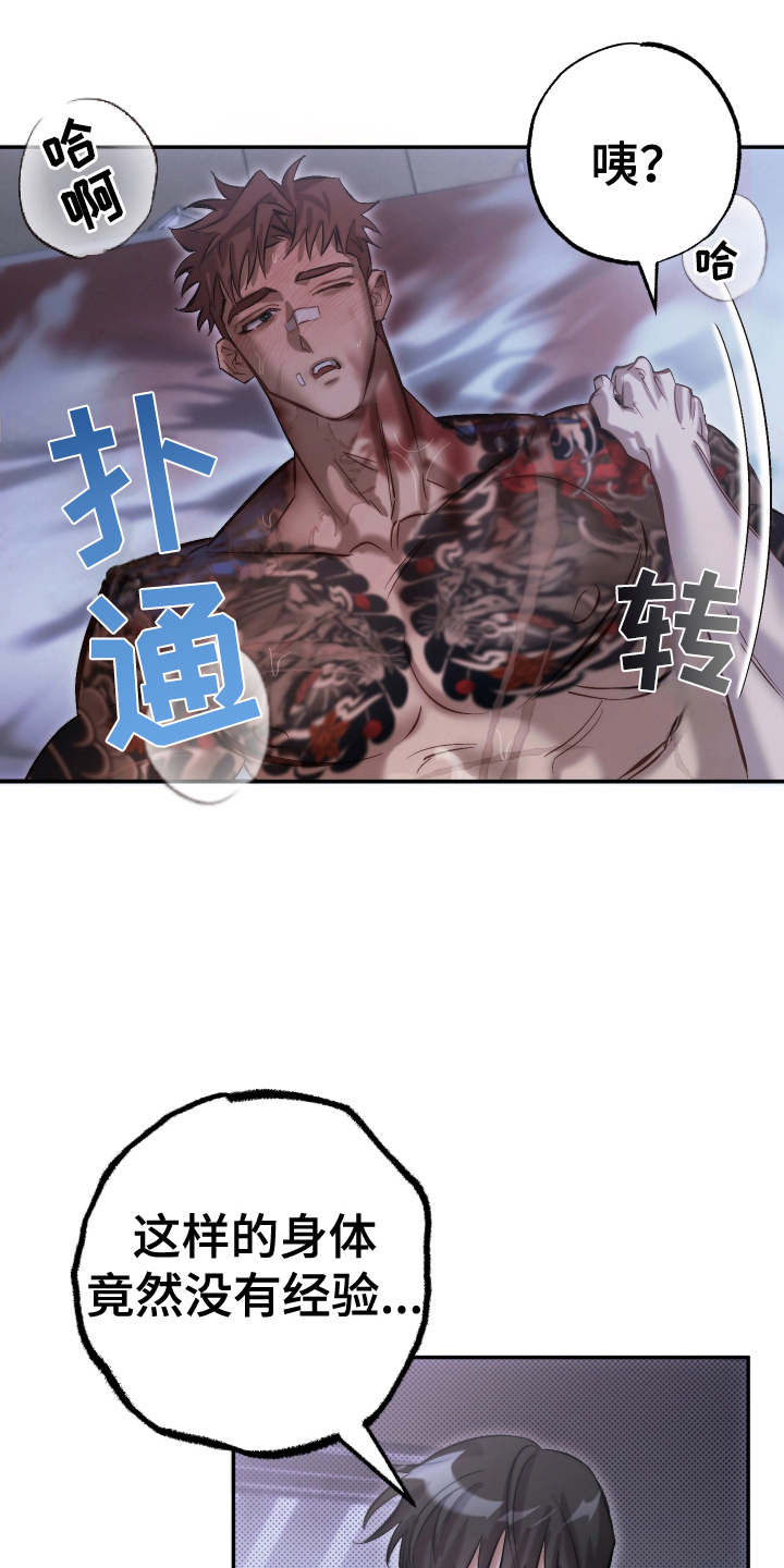 12.jpg