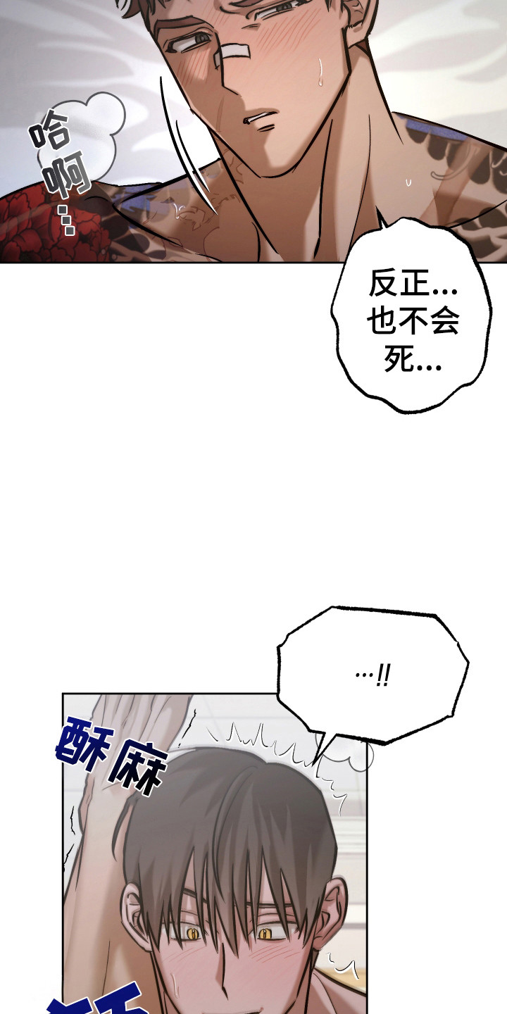 18.jpg