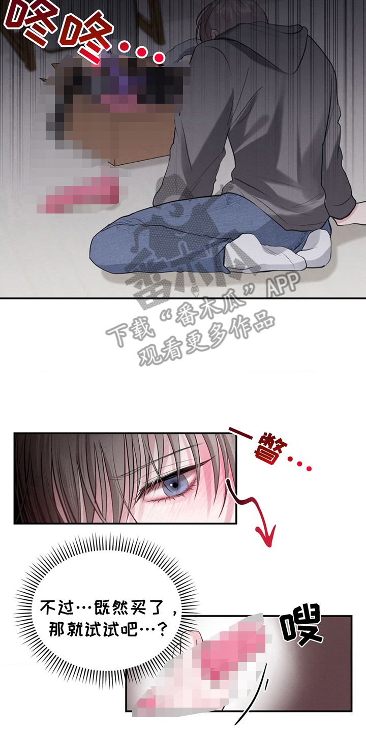 12.jpg