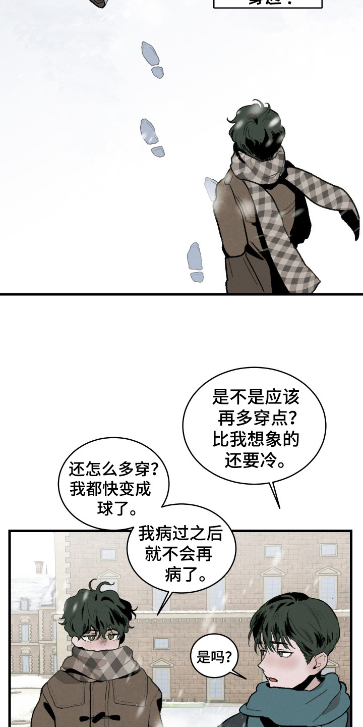 12.jpg