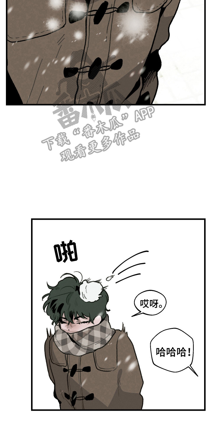 14.jpg