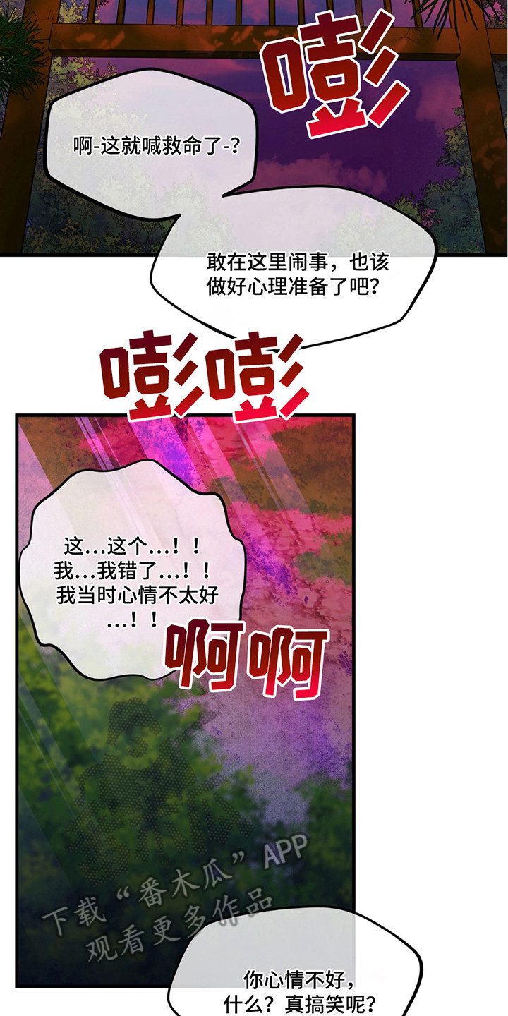 14.jpg