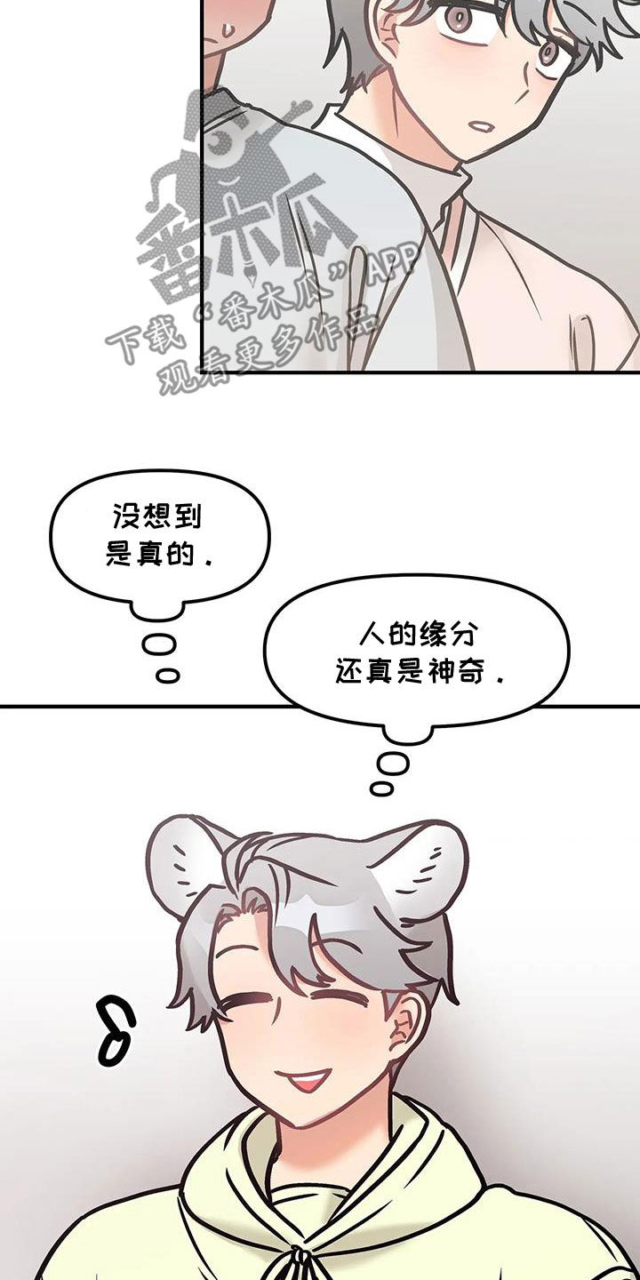 19.jpg