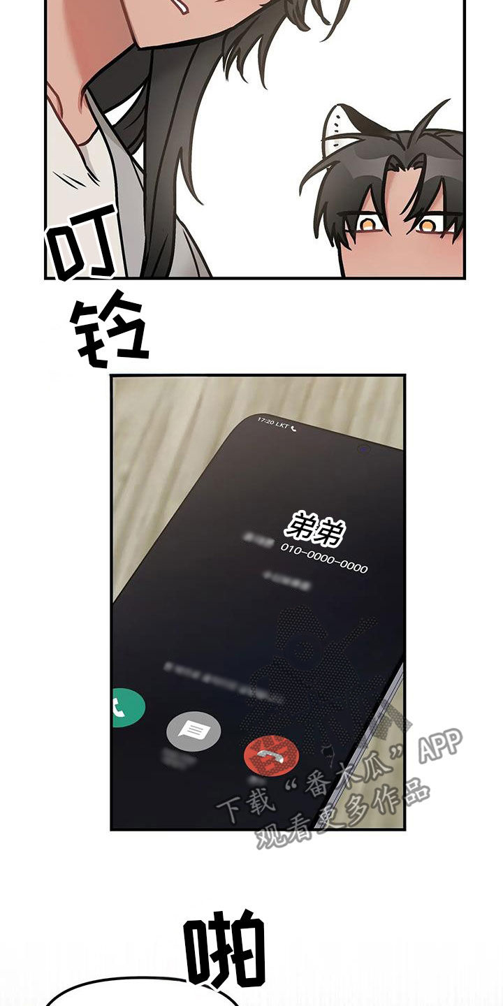 17.jpg