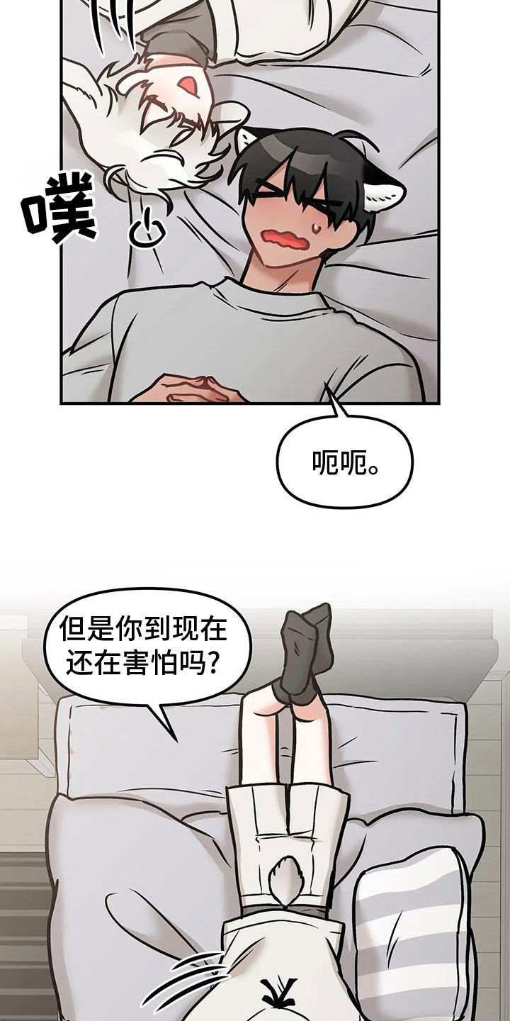25.jpg