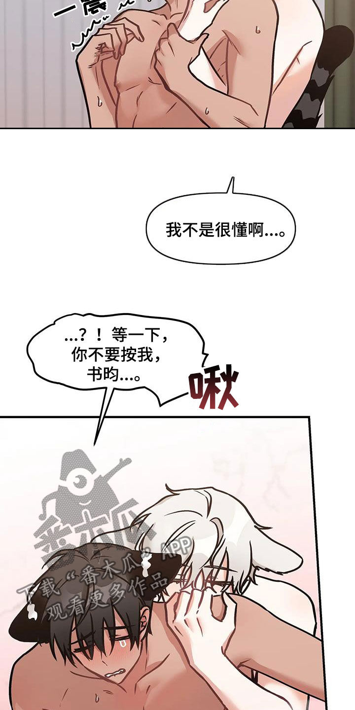 17.jpg
