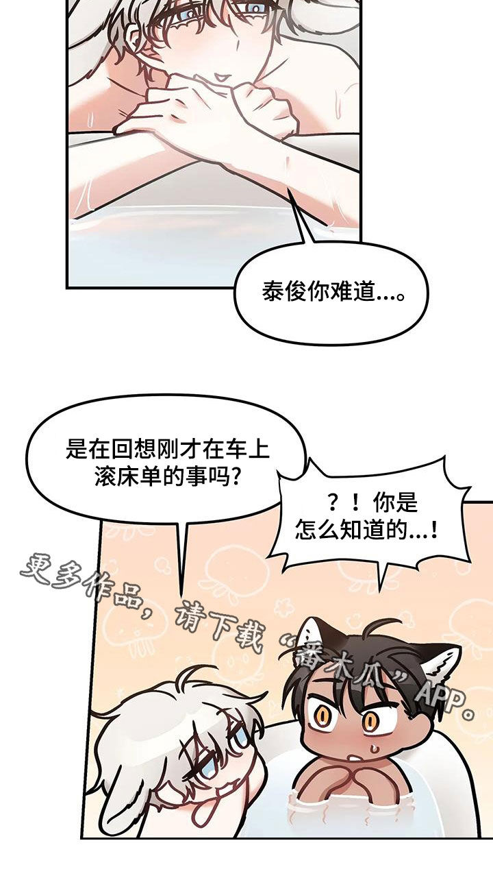 20.jpg