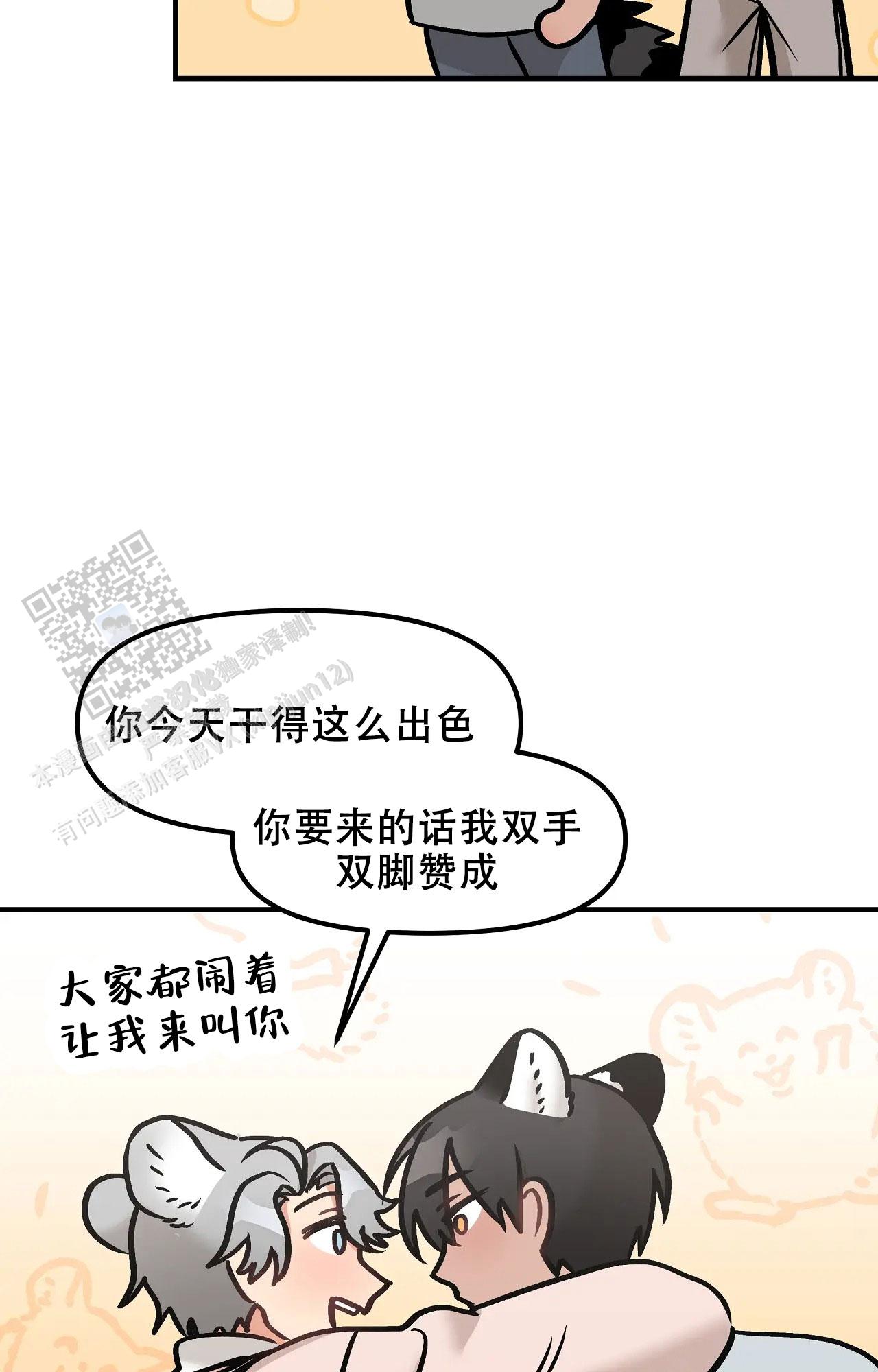 15.jpg