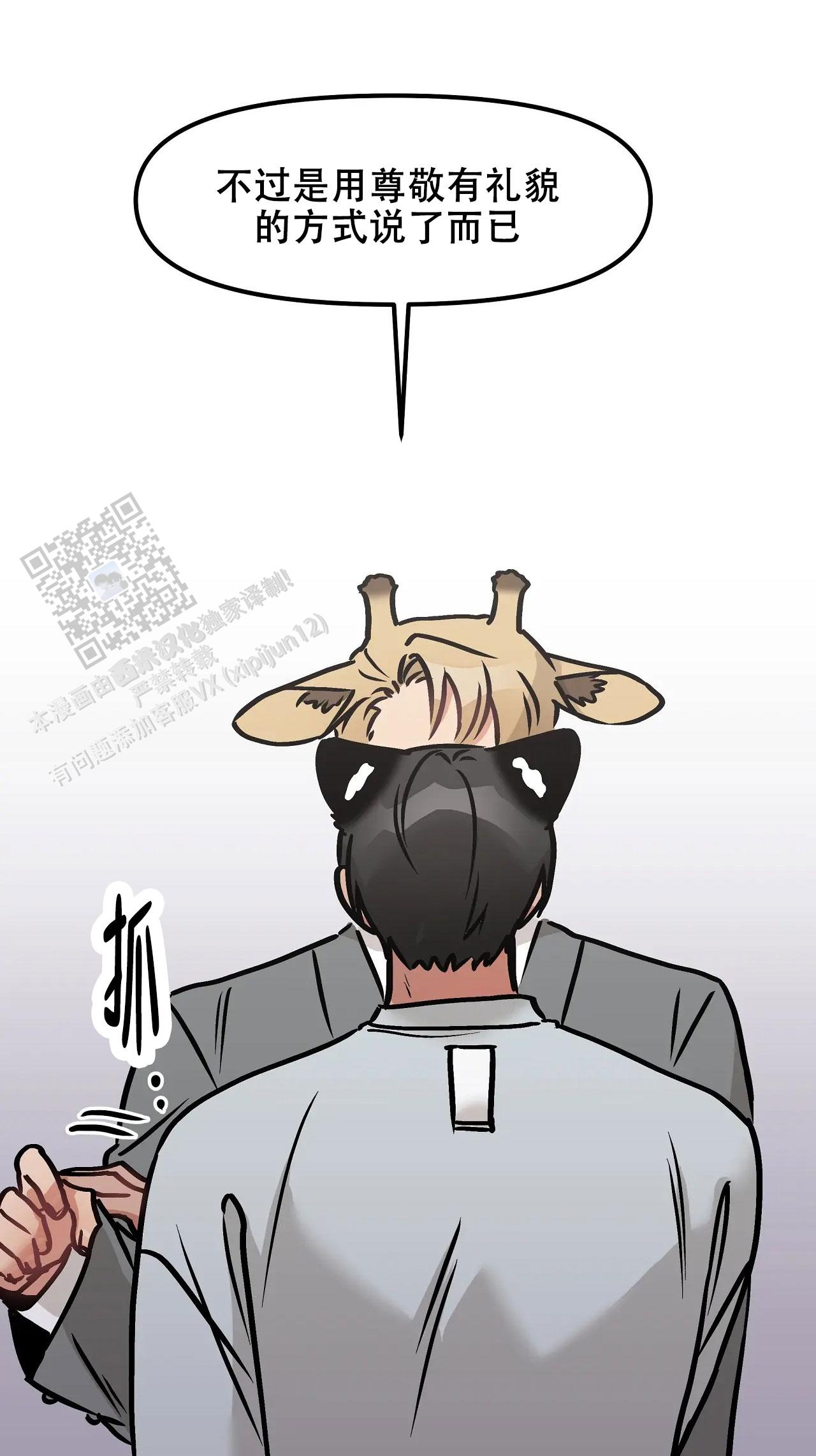 26.jpg