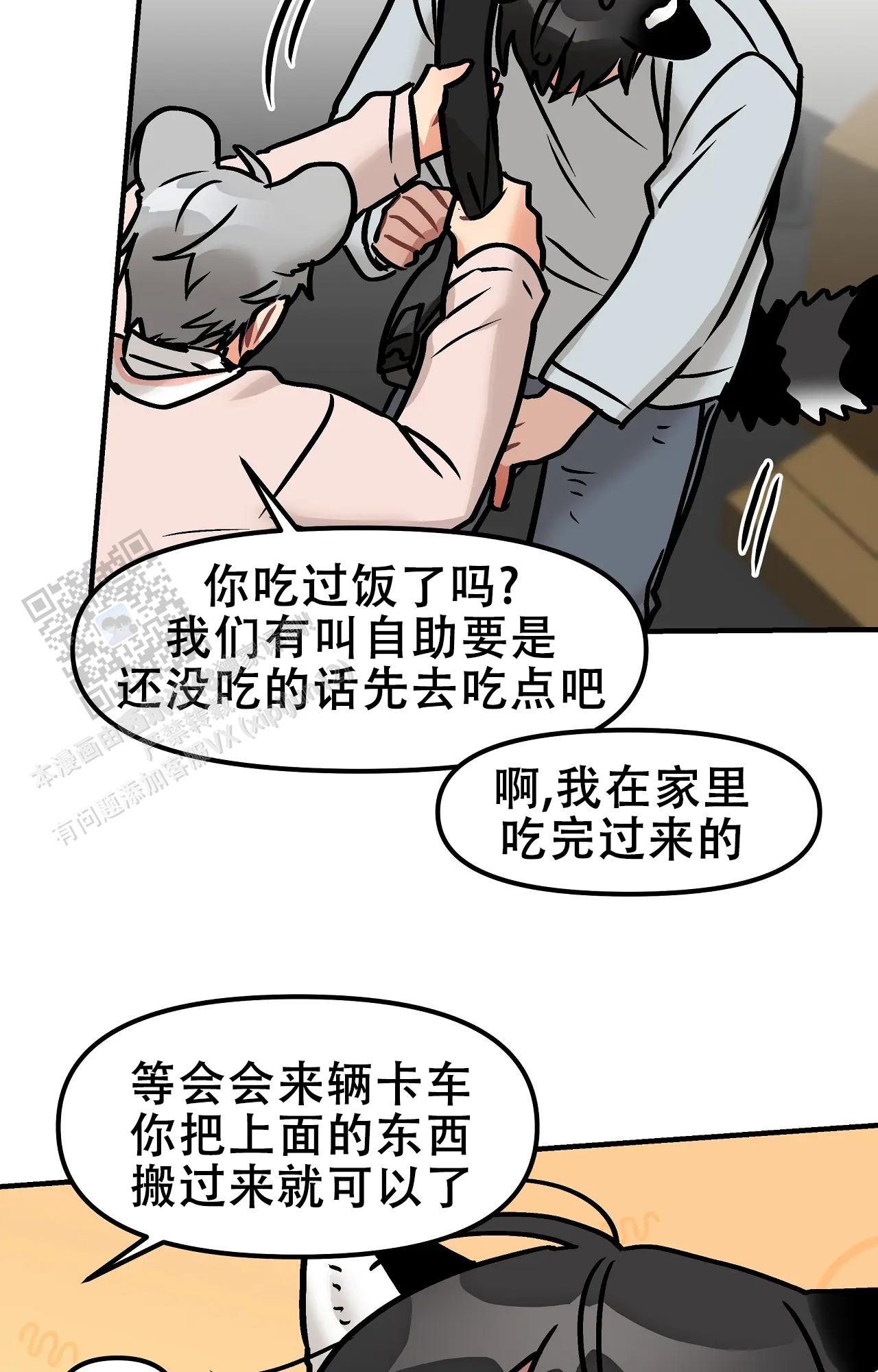 13.jpg