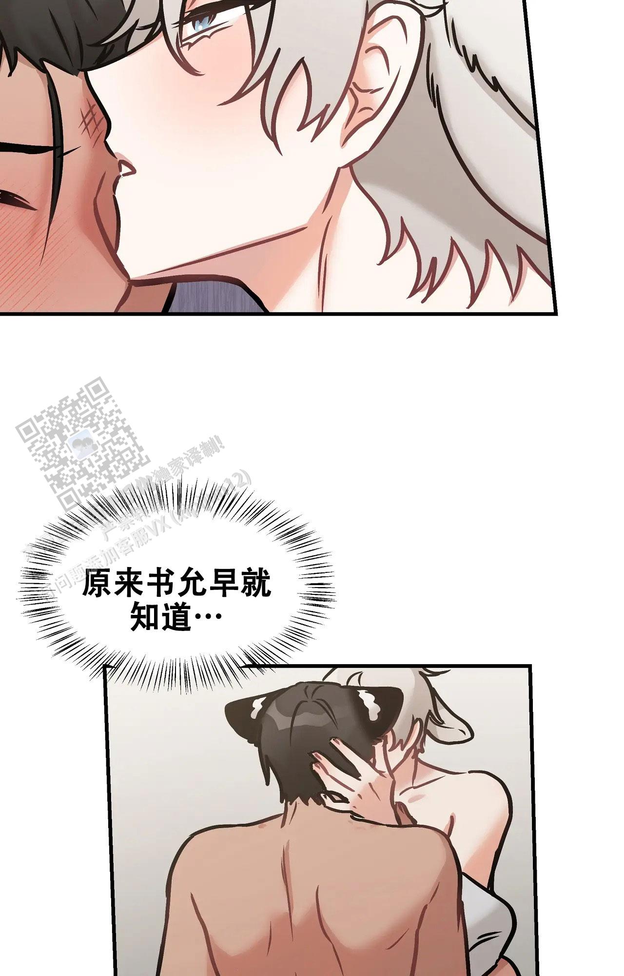 19.jpg