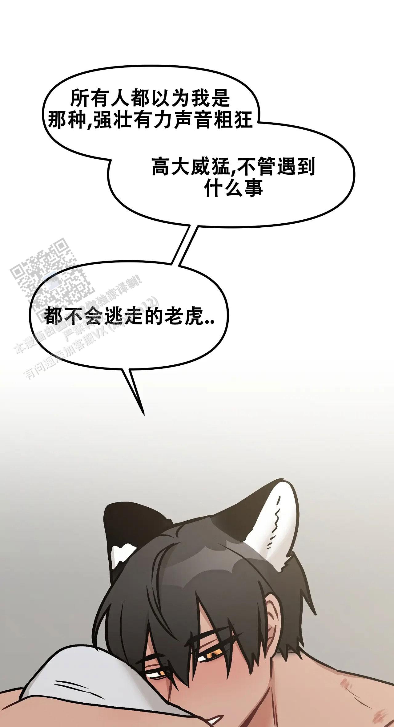 21.jpg