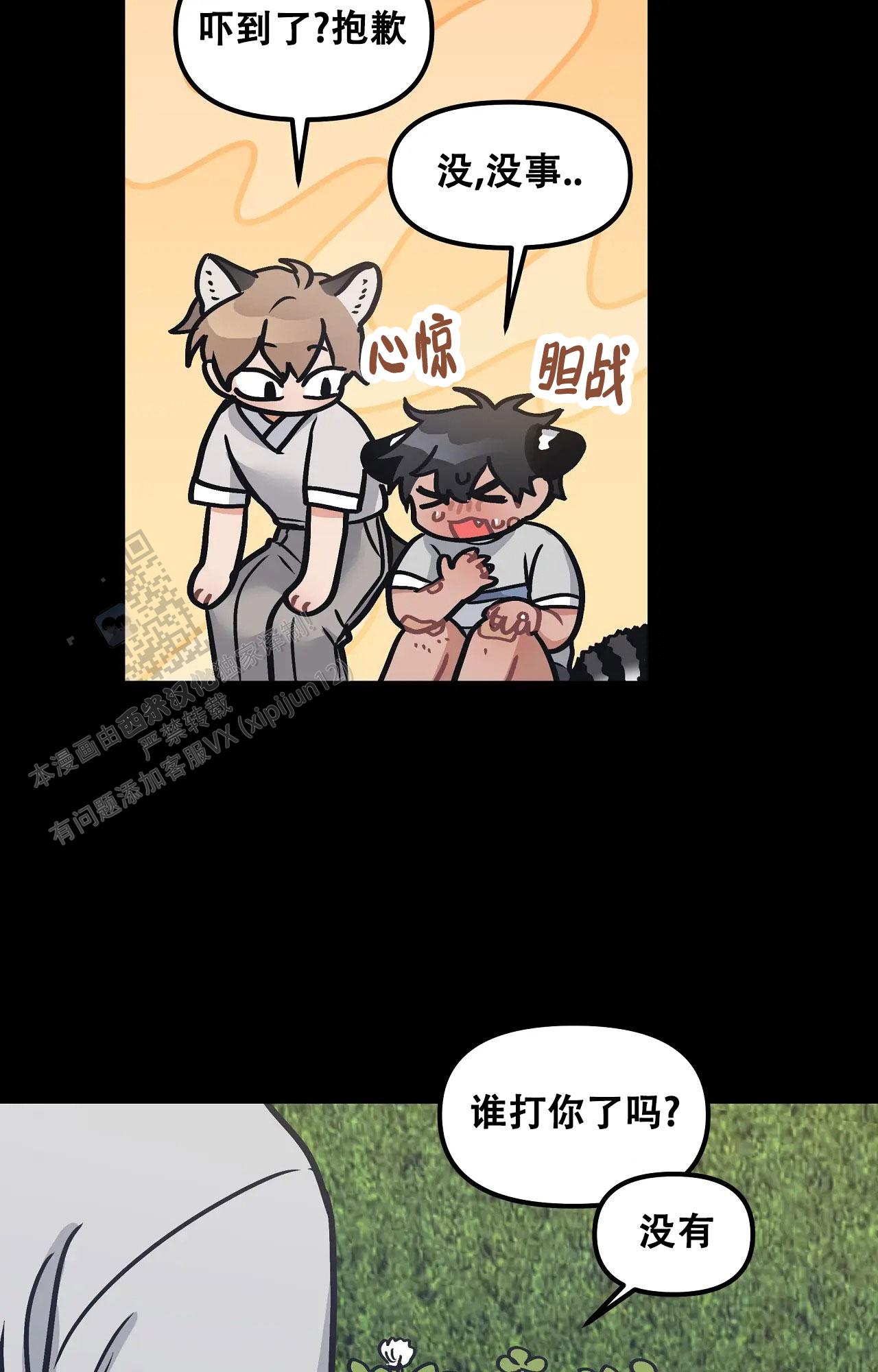 11.jpg