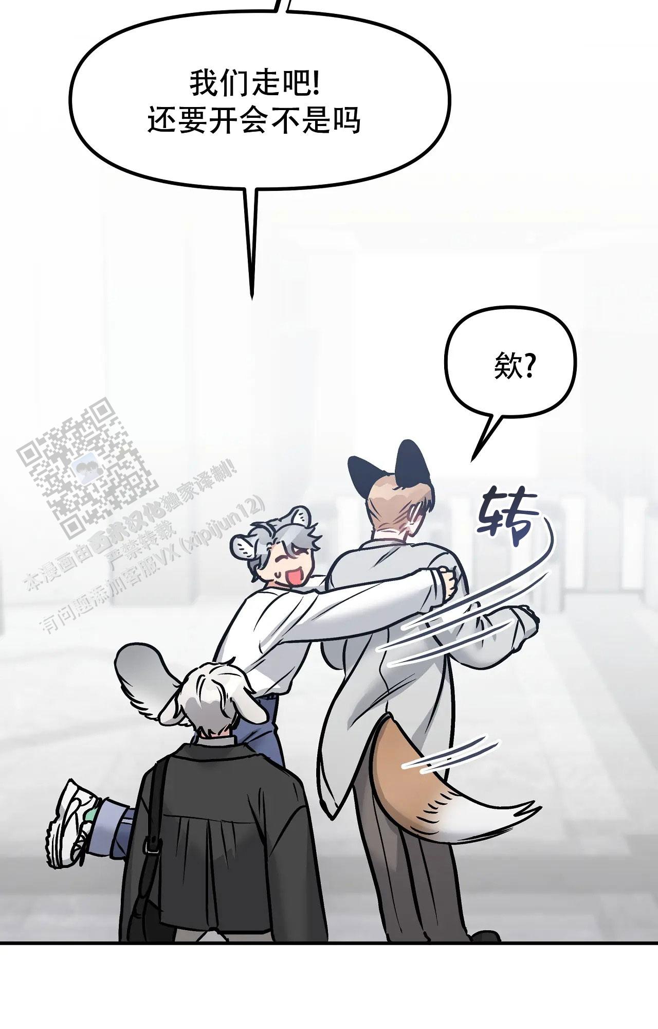 14.jpg