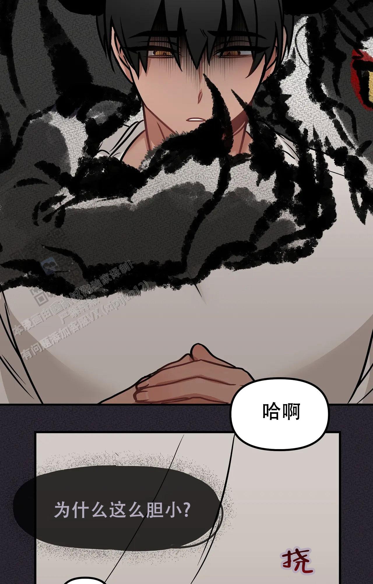 17.jpg