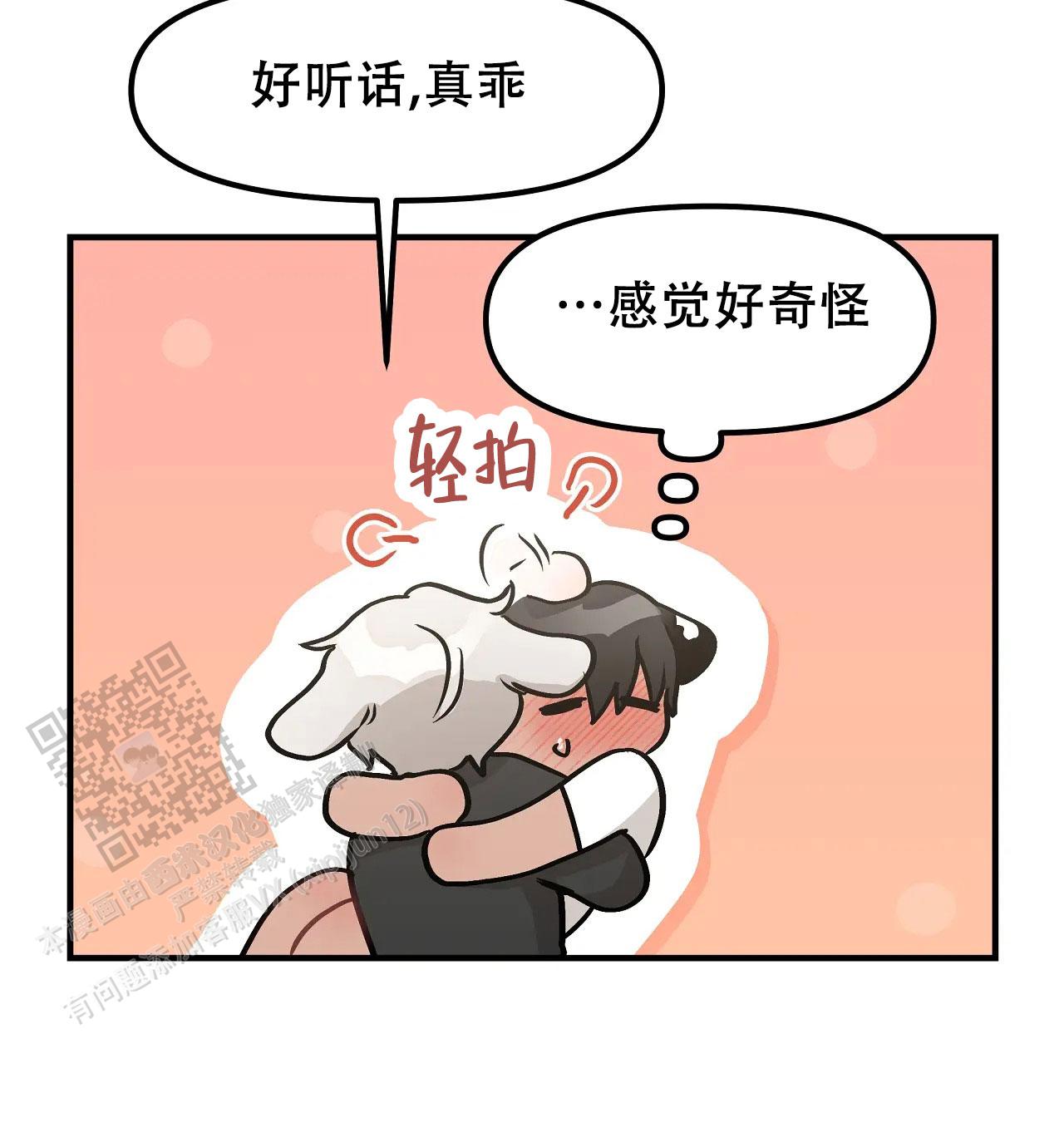 15.jpg