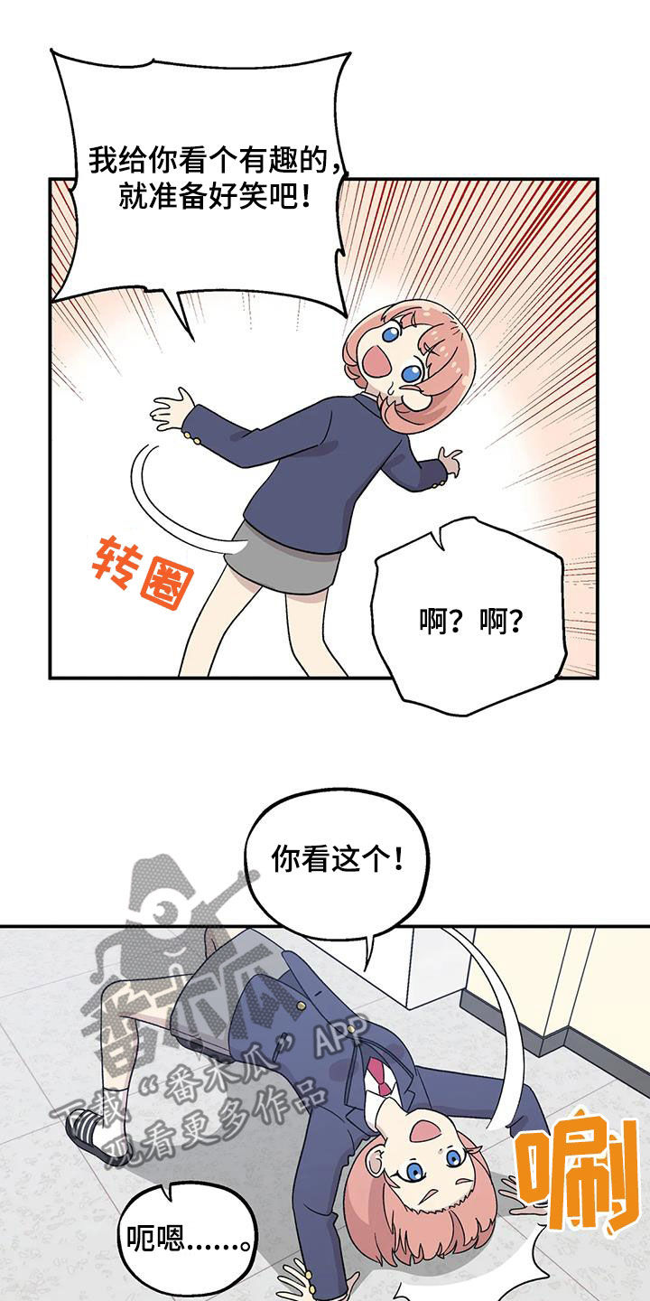 17.jpg