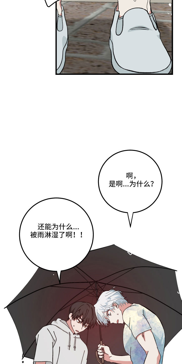 30.jpg