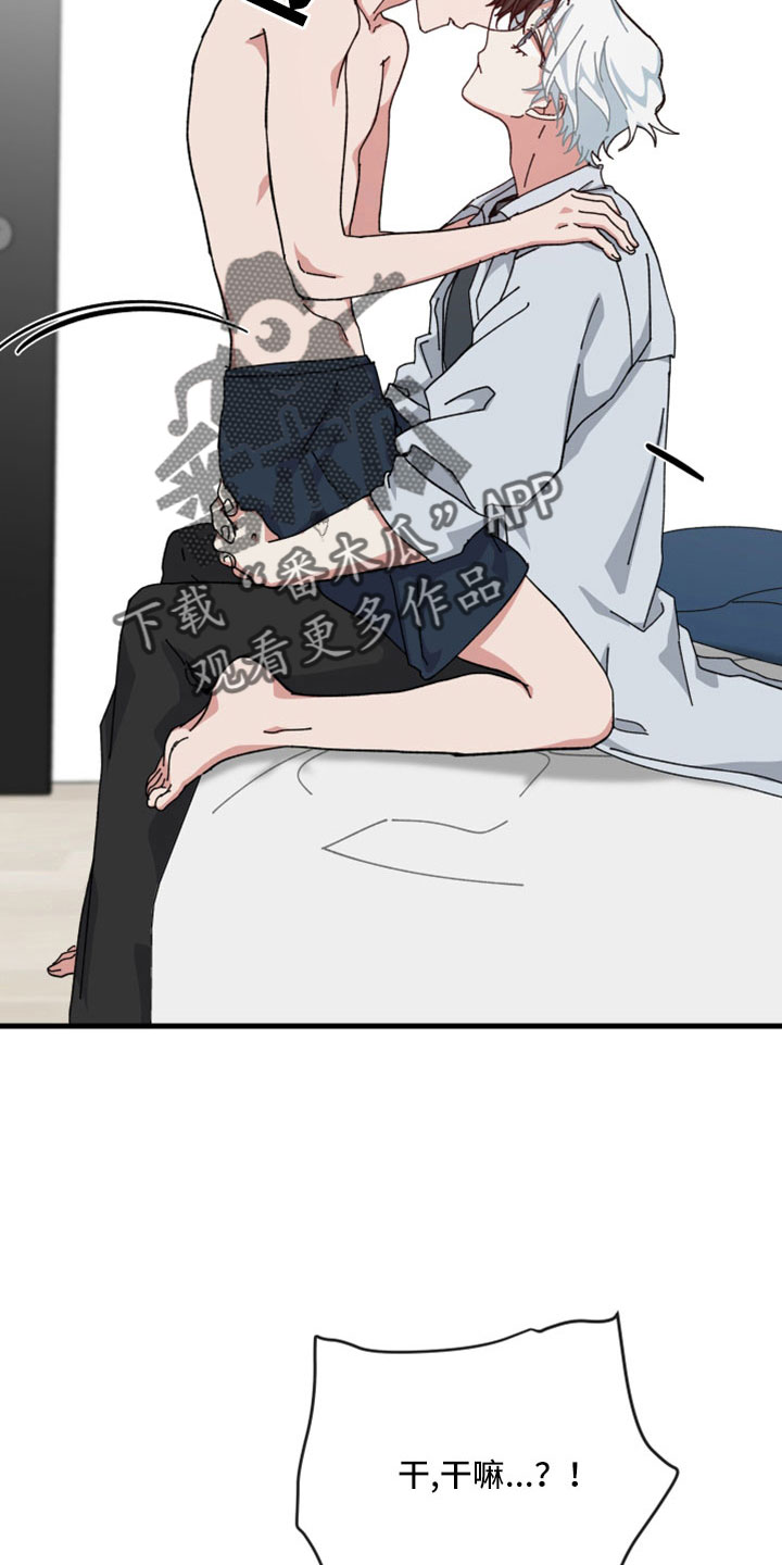 23.jpg