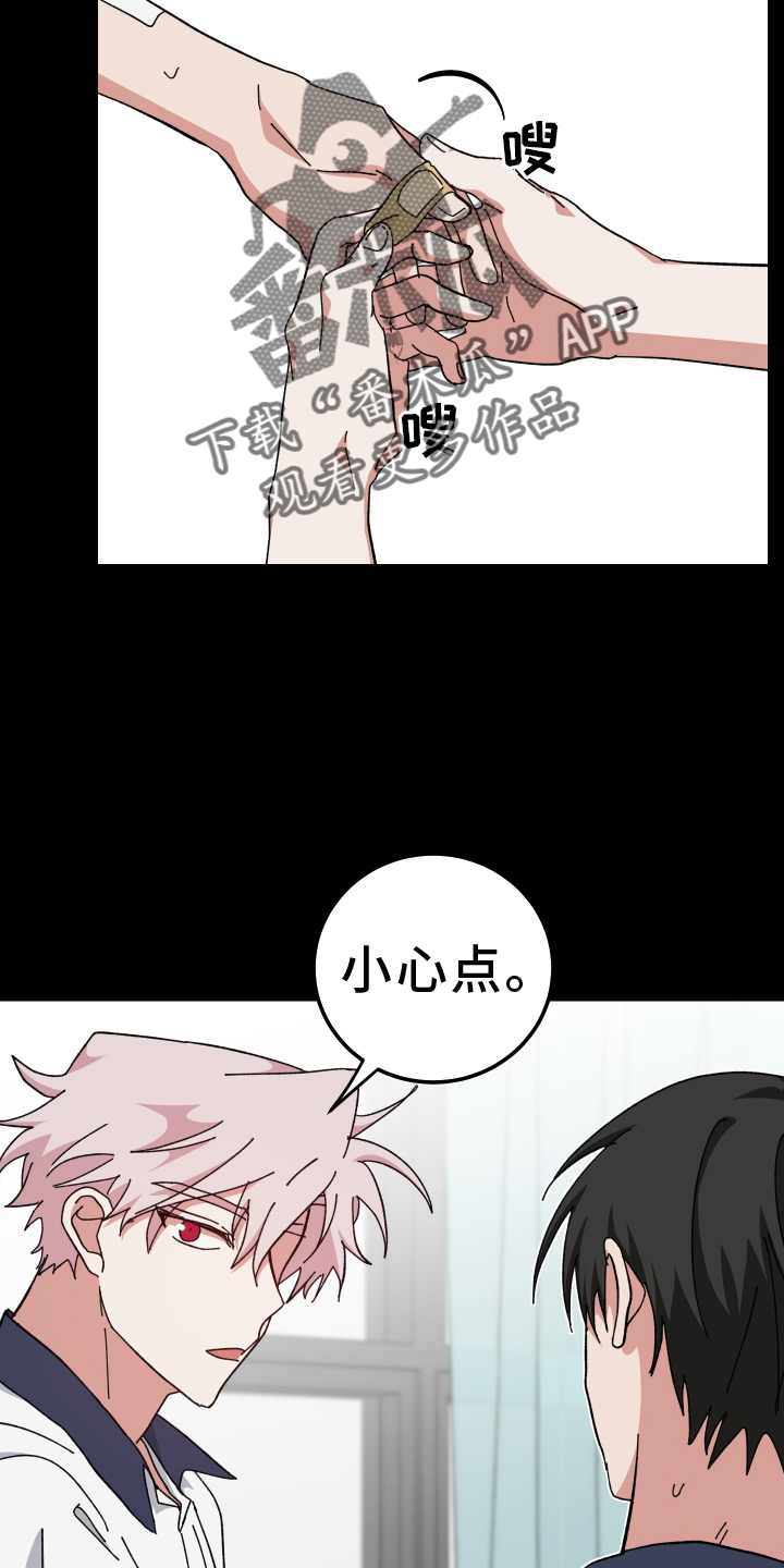 22.jpg